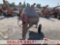 (Jurupa Valley, CA) Multi-Quip CEMENT MIXER Cement Mixer Condition Unknown, Not Towable, Missing Eng
