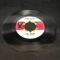Bill Haley and the Comets Chick Safari Hawk 45