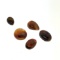 Fire Agate Selection 14ct