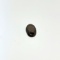 Black Star Sapphire 9.5x6.7mm 2ct