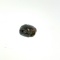Blister Pearl 10.5mm