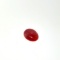 Coral Cabochon 10x7.7mm