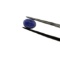 Mixed Iolite Selection 2.65ct
