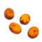 Golden Amber Oval Cabochon Selection
