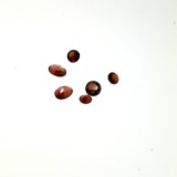 Small Garnet Selection .7ct