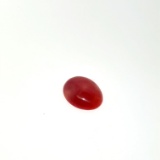 Coral Cabochon 10x7.7mm