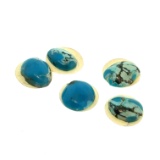 5 x Turquoise Pieces 13.6ct 9.7x12mm
