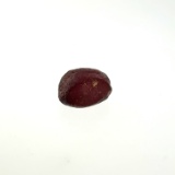 Rough Garnet Gemstone 14.7x10mm 15.5ct