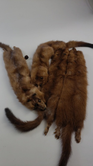 Estate Fur Mink Stole