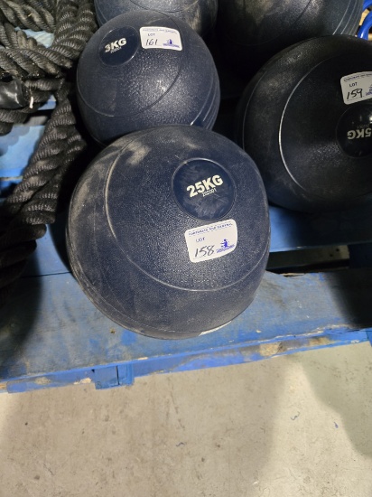 25KG Slam Ball
