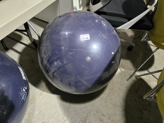 Exercise Ball with Base