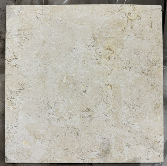 1 Crate 355sf 12"x12" Golden Crème Brushed
