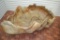 Burl Walnut Natural Root Wood Sculpture Planter