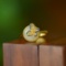 An Exquisite Sterling Silver-Gold Plated Inlaid White Jade Ring