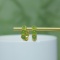 Exquisite Sterling Silver-Gold Plated Inlaid Jasper Earrings
