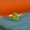Exquisite Sterling Silver-Gold Plated Inlaid Jasper Ring
