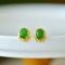A Pair of Exquisite Sterling Silver-Gold Plated Inlaid Jasper Earrings