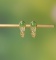 Exquisite Sterling Silver-Gold Plated Inlaid Jasper Earrings