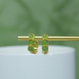 Exquisite Sterling Silver-Gold Plated Inlaid Jasper Earrings