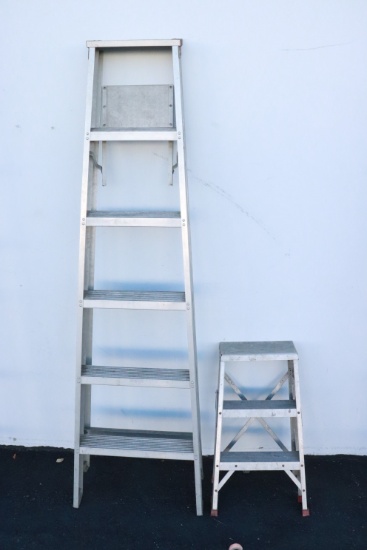 An aluminum ladder, and a small ladder