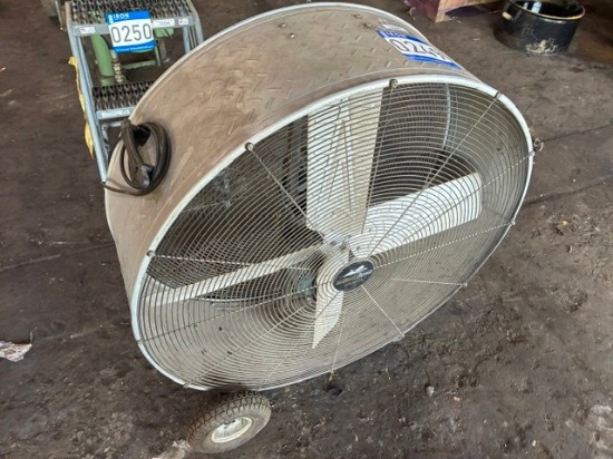 29" BIG COUNTRY FAN