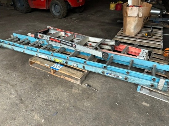 QTY (3) LADDERS