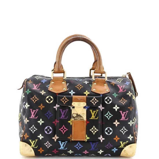 Louis Vuitton Speedy Handbag Monogram Multicolor 30
