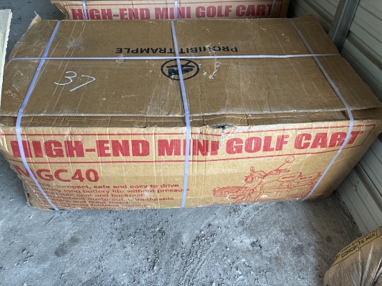 Sdlanch ELECTRIC TRICYCLE 2026 "IRGC40 MINI GOLF CART Convenient, comforta