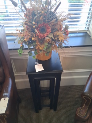 Plant & Plant stand