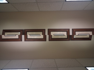 4 plant pictures