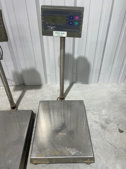 METTLER TOLEDO WILDCAT SCALE 300LB MAX