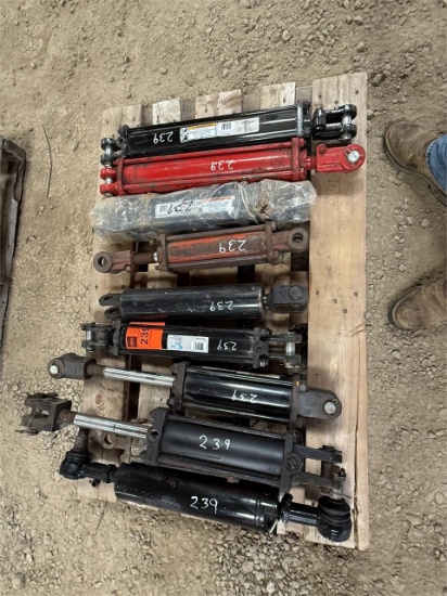 (10) Hydraulic Cylinders On Pallet