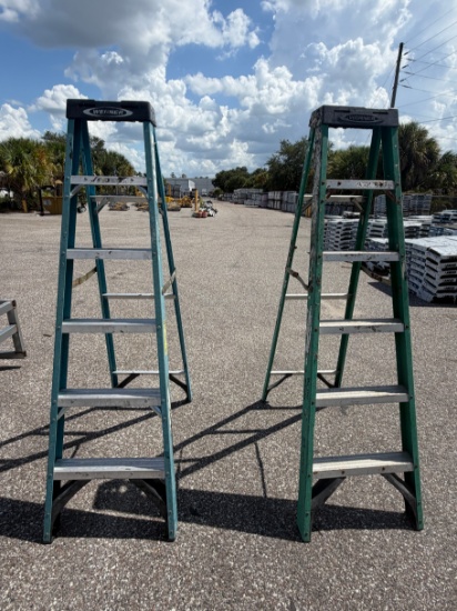 Werner 6' Fiberglass Step Ladders