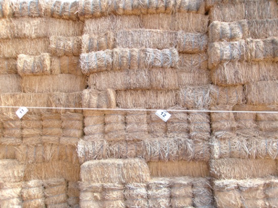 Livestock Feed