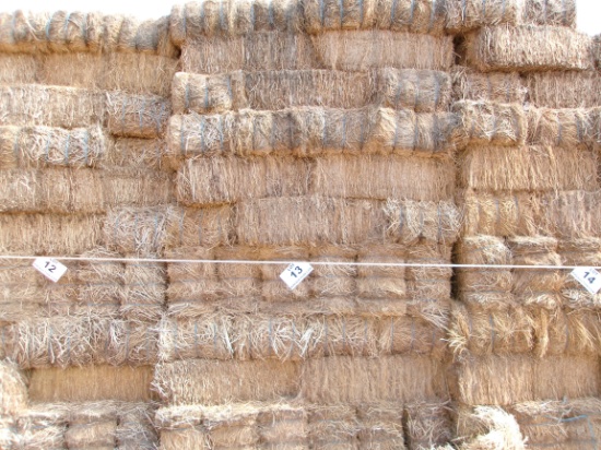 Livestock Feed