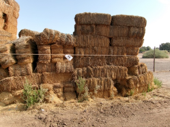 Livestock Feed