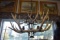 ANTLER CHANDELIER!