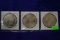 THREE MORGAN SILVER DOLLARS!