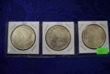 THREE MORGAN SILVER DOLLARS!