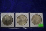 THREE MORGAN SILVER DOLLARS!