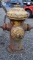 VINTAGE FIRE HYDRANT!