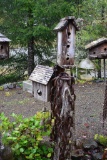 BIRD HOUSES!