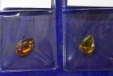 FOSSILIZED BALTIC AMBER PIECES!