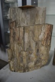 PETRIFIED WOOD!