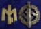 SPORTS BADGE AND YOUTH CAP BADGE!