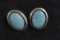 SIGNED STERLING AND TURQUOISE EARRINGS!
