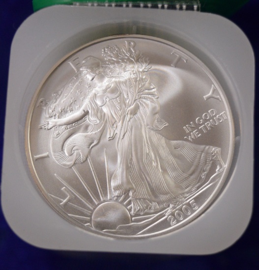 TWENTY 2005 SILVER EAGLES!