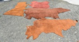 BRAZILIAN LEATHER HIDES! LOT 4