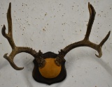 AWESOME VINTAGE 4 POINT RACK!