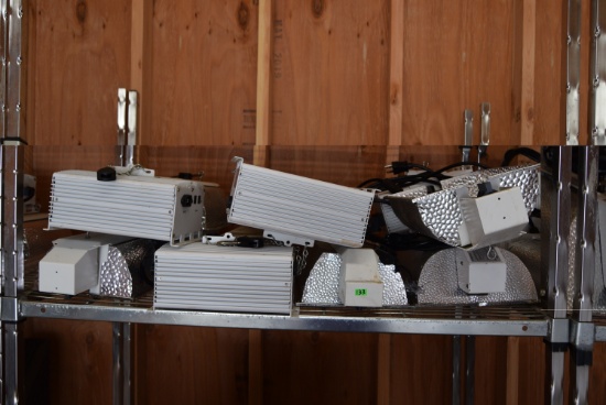 GROW BALLAST AND LIGHT COMBO! LOT 3-1